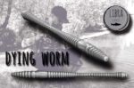 DYINGWORM.jpg