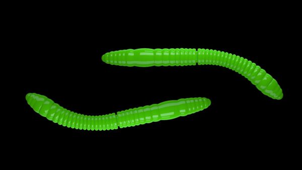 Fatty D'Worm Tournament 55  026 HOT GREEN