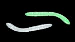 Fatty D'Worm Tournament 55 000 GLOW UV GREEN