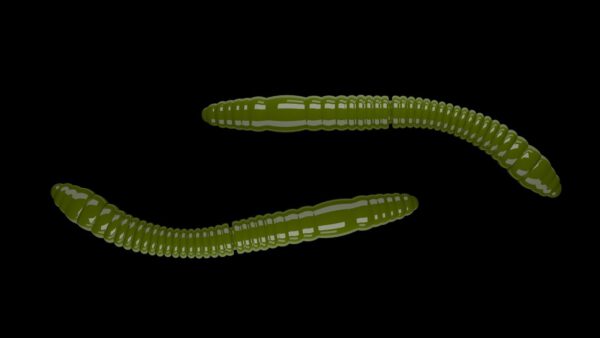 Fatty D'Worm Tournament 55 031 OLIVE