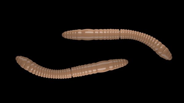 Fatty D'Worm Tournament 55 035 PELLETS