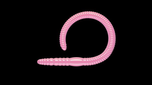 Flex Worm 85 -  017 - Bubblegum.jpg