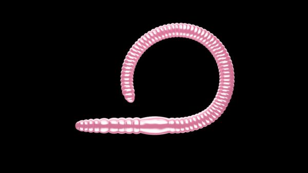 Flex Worm 85 -  018 - Pink Pearl.jpg
