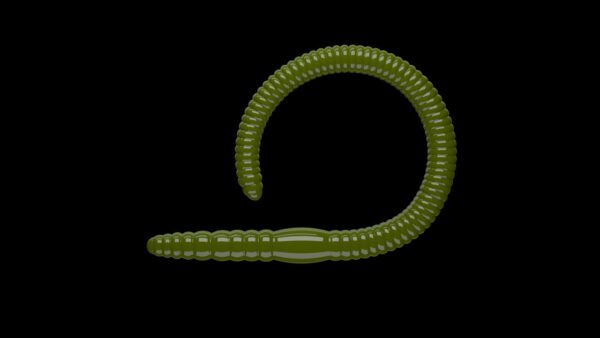 Flex Worm 85 -  031 - Olive.jpg