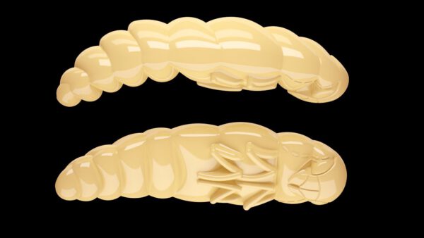 Largo 005 CHEESE.jpg