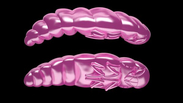 Largo 018 PINK PEARL.jpg