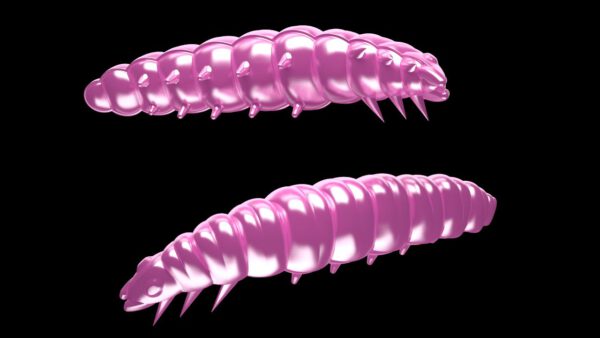 Larva 018 PINK PEARL.jpg