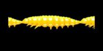 Larva MULTI 007 YELLOW_1