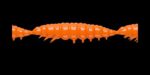 Larva MULTI 011 HOT ORANGE_1