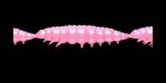 Larva MULTI 017 BUBBLEGUM_1