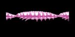 Larva MULTI 018 PINK PEARL_1