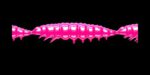 Larva MULTI 019 HOT PINK_1