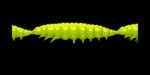 Larva MULTI 027 APPLE GREEN_1