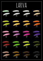 Larva.jpg