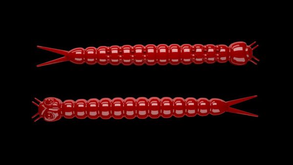 Slight Worm 021 RED.jpg