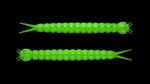 Slight Worm 026 HOT GREEN.jpg