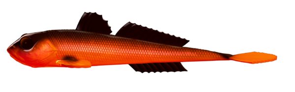 Libra Lures - Gobio - 011 Hot Orange.jpg