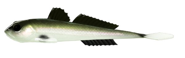 Libra Lures - Gobio - 031 Olive Whitefish.jpg