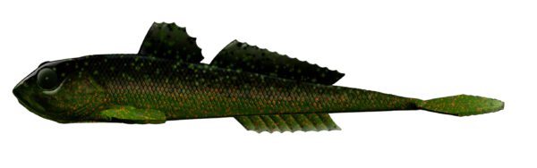 Libra Lures - Gobio - 132 Motor Oil Green.jpg