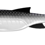 Libra Lures - Kraken Shad - 001 White.jpg
