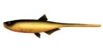 Libra Lures - Bleak - Slug Tail - 009 Gold.jpg
