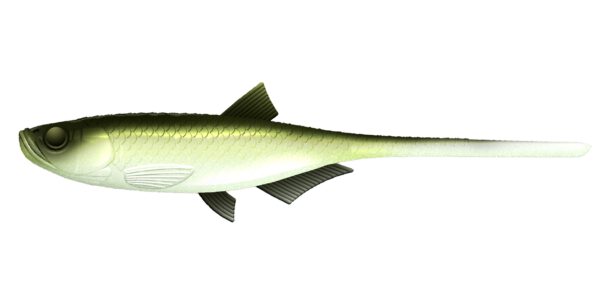 Libra Lures - Bleak - Slug Tail - 031 Olive Fhitefish (1).jpg