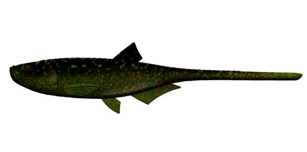 Libra Lures - Bleak - Slug Tail - 132 Motor Oil Green.jpg