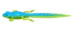 Libra Lures - Frog - 127 Lime Chartreuse Blue.jpg