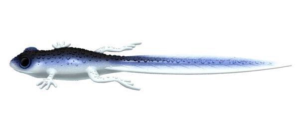 Libra Lures - Frog - 003 Blue Whitefish.jpg