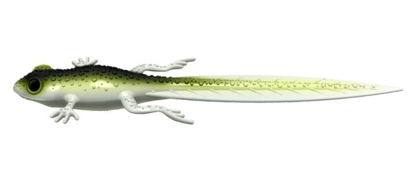 Libra Lures - Frog - 031 Olive Whitefish.jpg