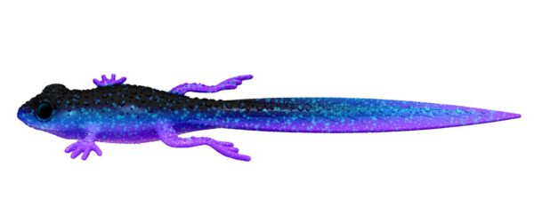 Libra Lures - Frog - 123 Cosmos.jpg