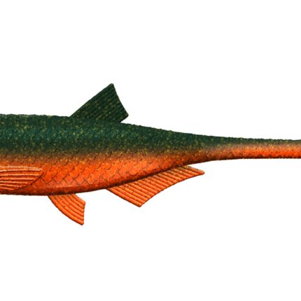 Libra Lures - Bleak - Slug Tail - 111 Angry Carrot.jpg