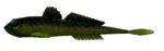 Libra Lures - Gobio - 132 Motor Oil Green.jpg