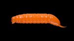 Goliath - 011 Hot Orange.jpg