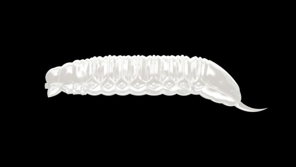 Goliath - 004 Silver Pearl.jpg