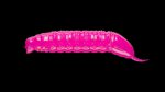 Goliath - 019 Hot Pink.jpg