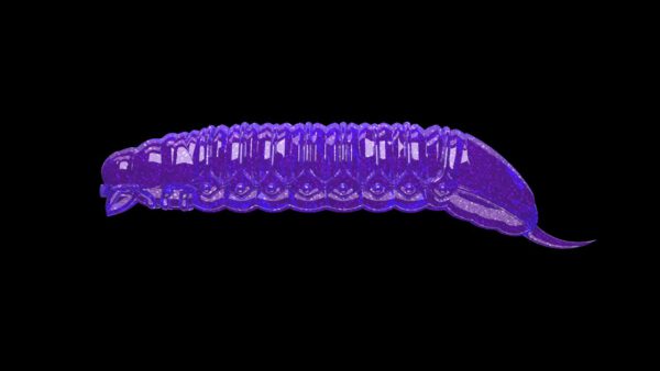 Goliath - 020 Purple with glitter.jpg