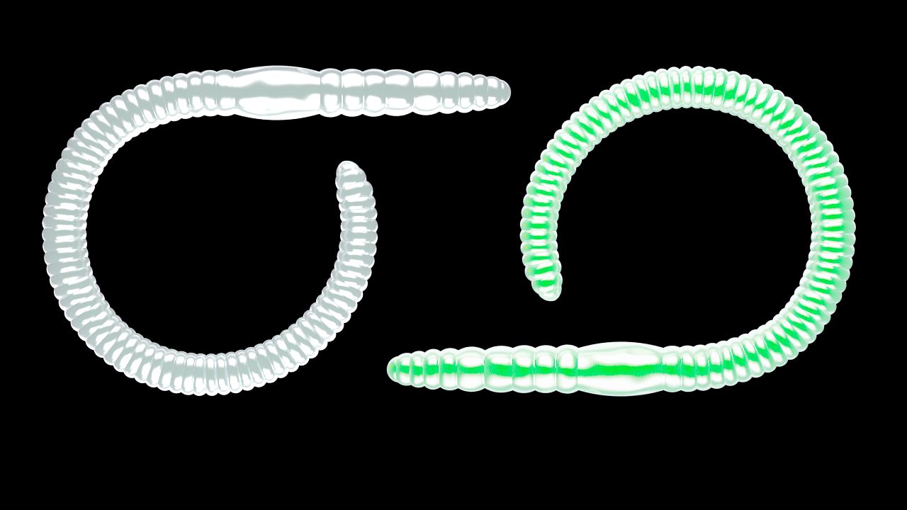 flex-worm-85-000-glov-uv-green-jpg Flex Worm 85 - 000 - Glov UV Green.jpg
