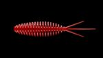 Turbo Worm 56 - 021 - RED.jpg