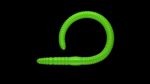 Flex Worm 85 -  026 - Hot Green.jpg