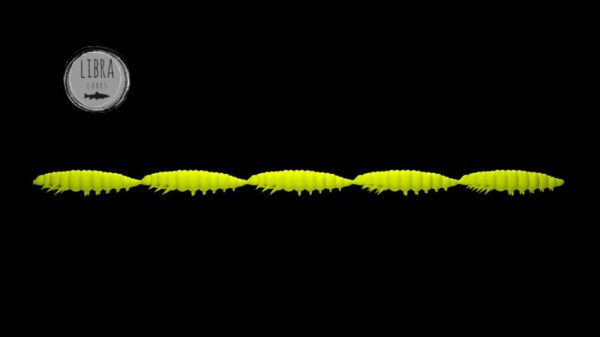 Larva Multi #006