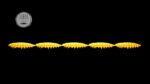 Larva Multi #007