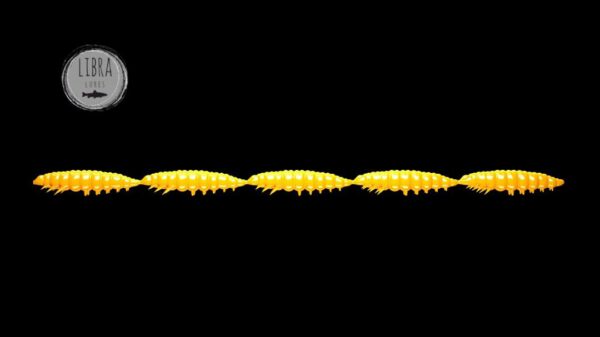 Larva Multi #007