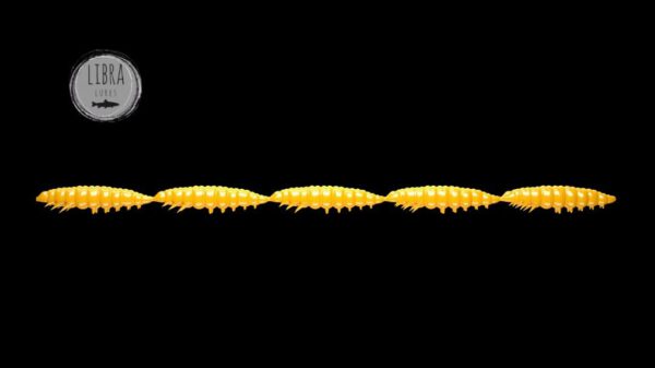 Larva Multi #008