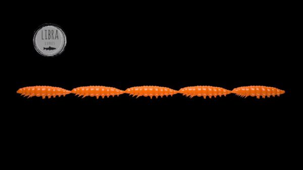 Larva Multi #011