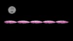 Larva Multi #018