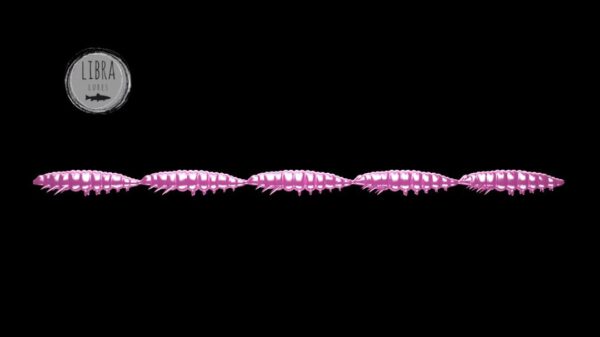 Larva Multi #018