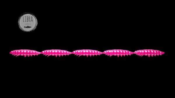 Larva Multi #019
