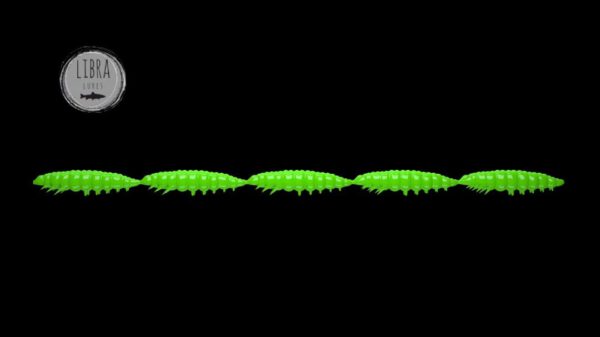 Larva Multi #026