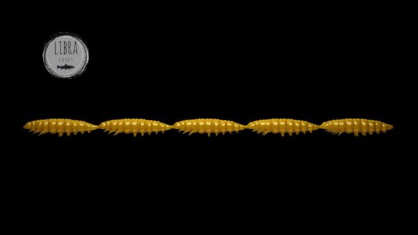 Larva Multi #036